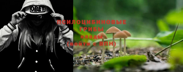 герыч Ладушкин