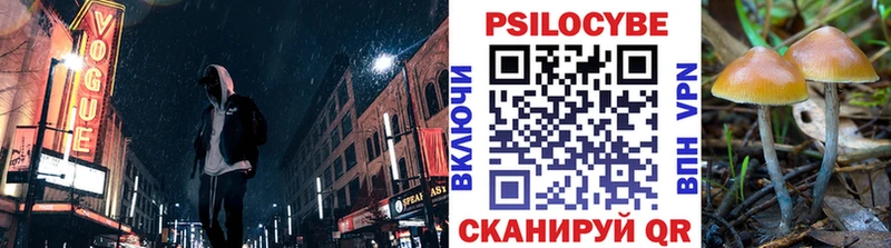 Галлюциногенные грибы MAGIC MUSHROOMS  Купить где  Лабинск 